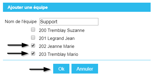 PBX_en_Nuage_-_Supervision_-_Equipes_-_Ajouter_un_Equipe_-_Choi.png