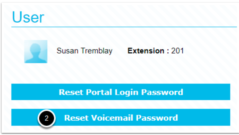 How do I access my voicemail box? – Cloudli Support